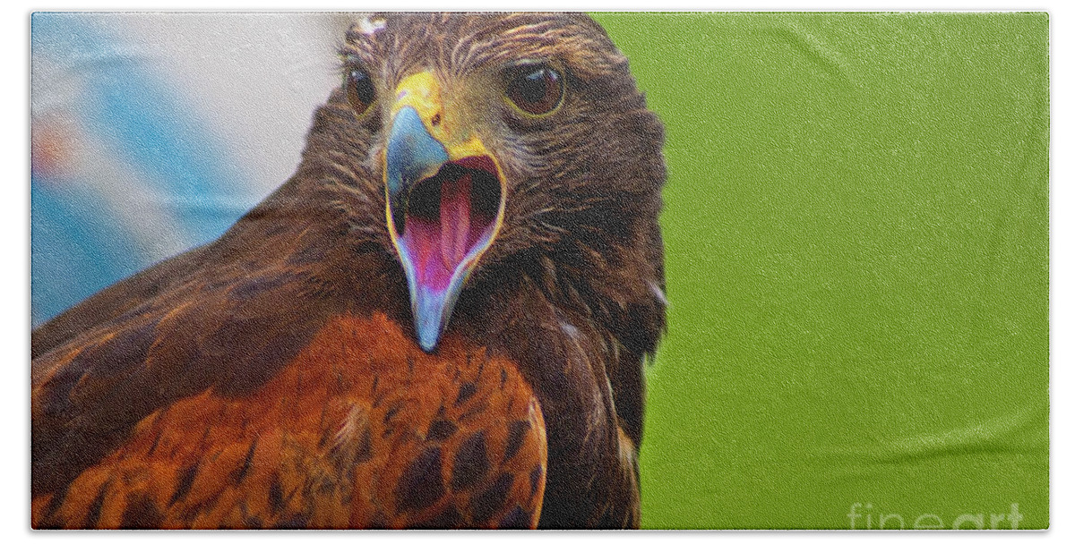 Tarqui Beach Towel featuring the photograph Learning To Hunt Again II by Al Bourassa