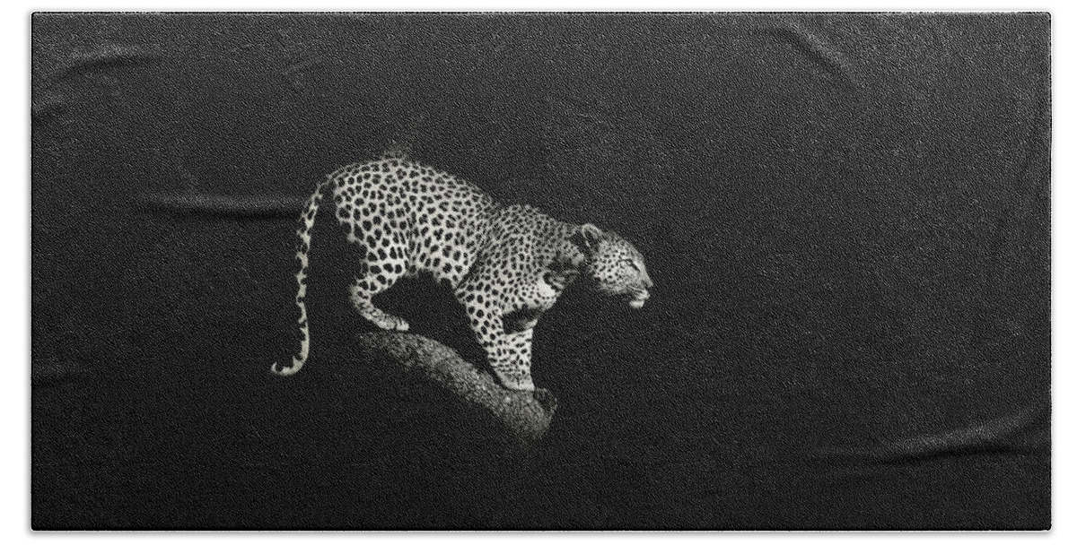 African Beach Towel featuring the photograph Leopard crouching, South Africa by Stu Porter