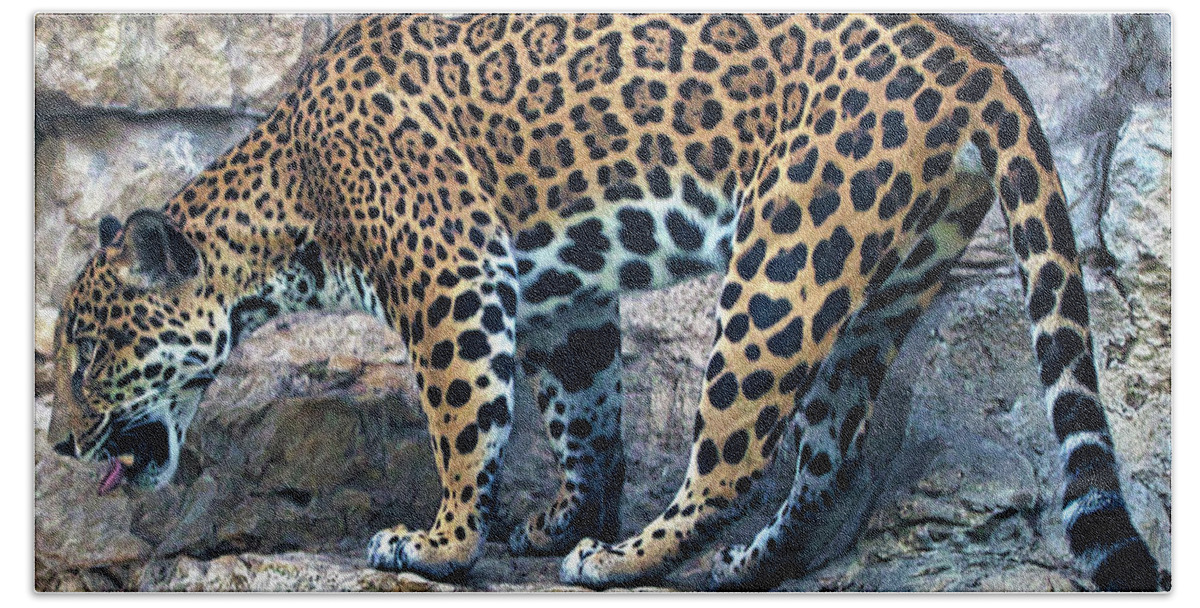 Leopard Beach Towel featuring the photograph Leopard by Rene Vasquez