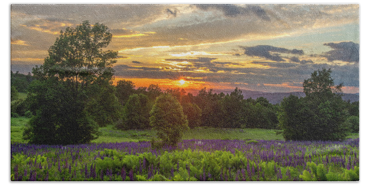 Lewis Beach Towel featuring the photograph Lewis Hill Lupine Spring Sunset by White Mountain Images