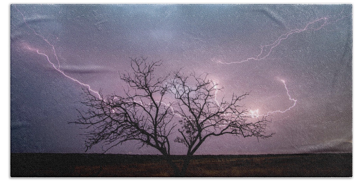 Storm Beach Towel featuring the photograph Lightning Tree by Wesley Aston