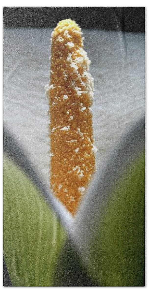 Macro Beach Towel featuring the photograph Lily 041607 by Julie Powell