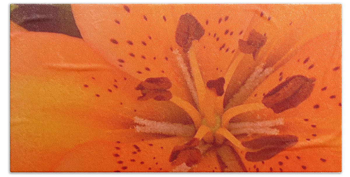 Lily Flower Beach Towel featuring the photograph Lily Closeup by Carmen Lam