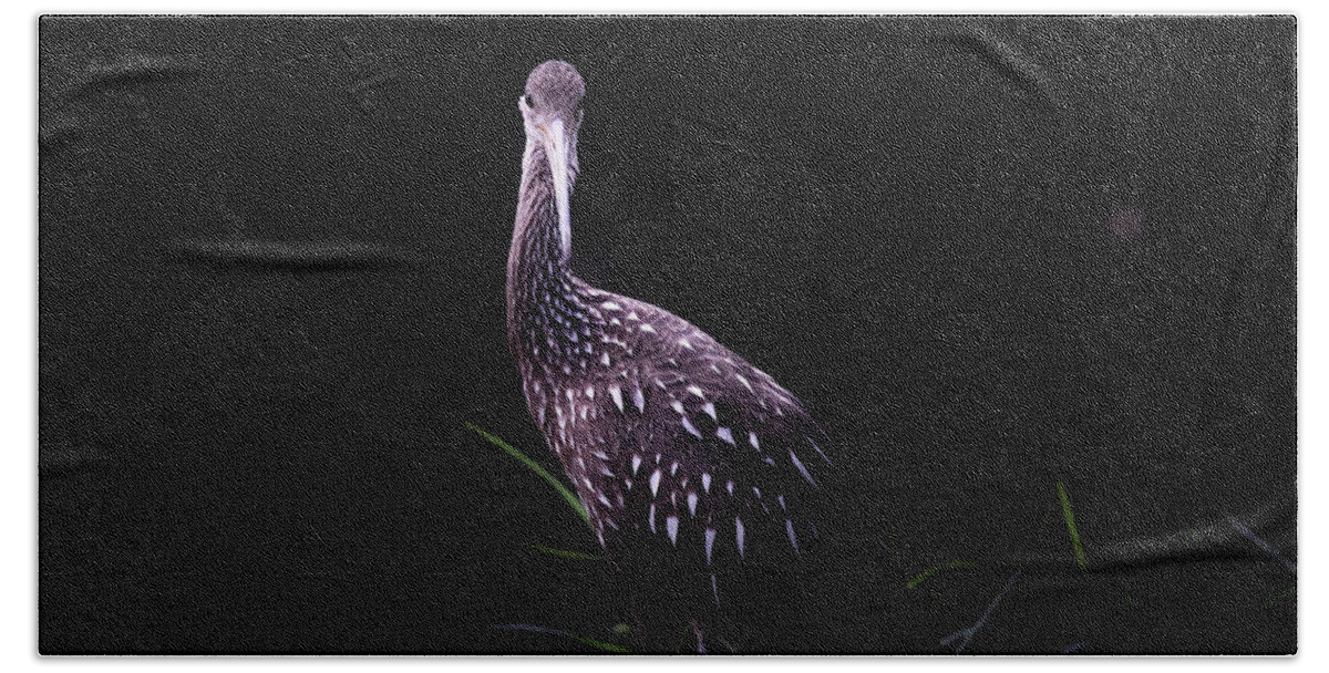 Limpkin Beach Towel featuring the photograph Limpkin by the Shore by Mark Andrew Thomas