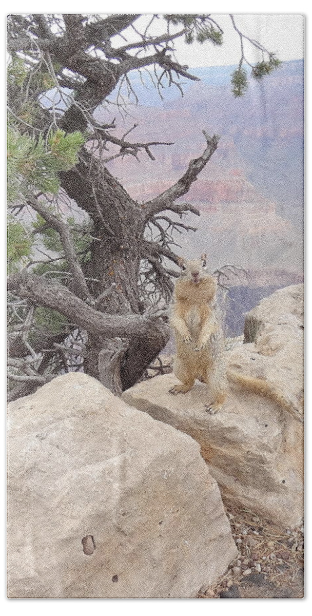 Little Animal Beach Towel featuring the photograph little animal Grand Canyon by Joelle Philibert