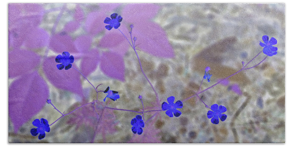 Flower Beach Towel featuring the photograph Dainty Blue Flowers by Missy Joy