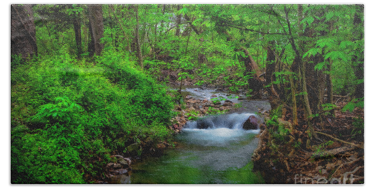 Cascade Beach Towel featuring the photograph Little Cascade in Cherokee National Forest by Shelia Hunt