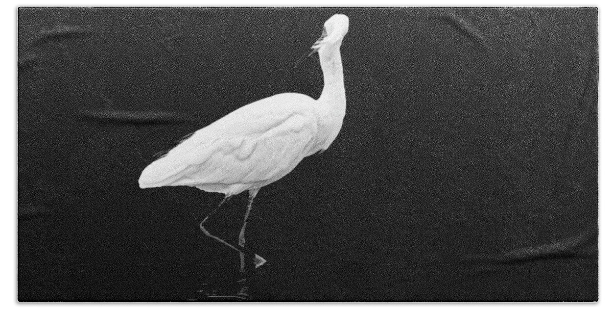 Bird Photography Beach Towel featuring the photograph Little Egret Dance in BW by Perla Copernik