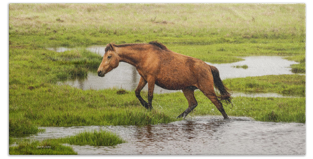 Assateague Beach Towel featuring the photograph Liz's Serenity by Dale R Carlson