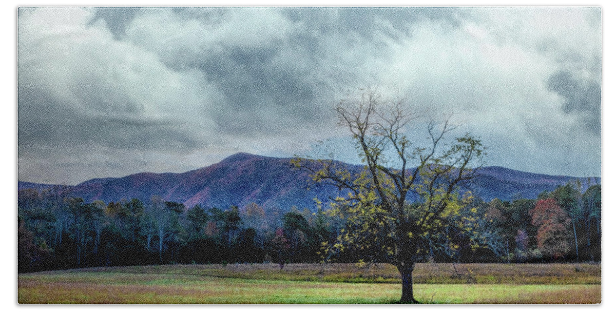 Smokies Beach Towel featuring the photograph Lone Tree at Cades Cove Townsend Tennessee by Debra and Dave Vanderlaan