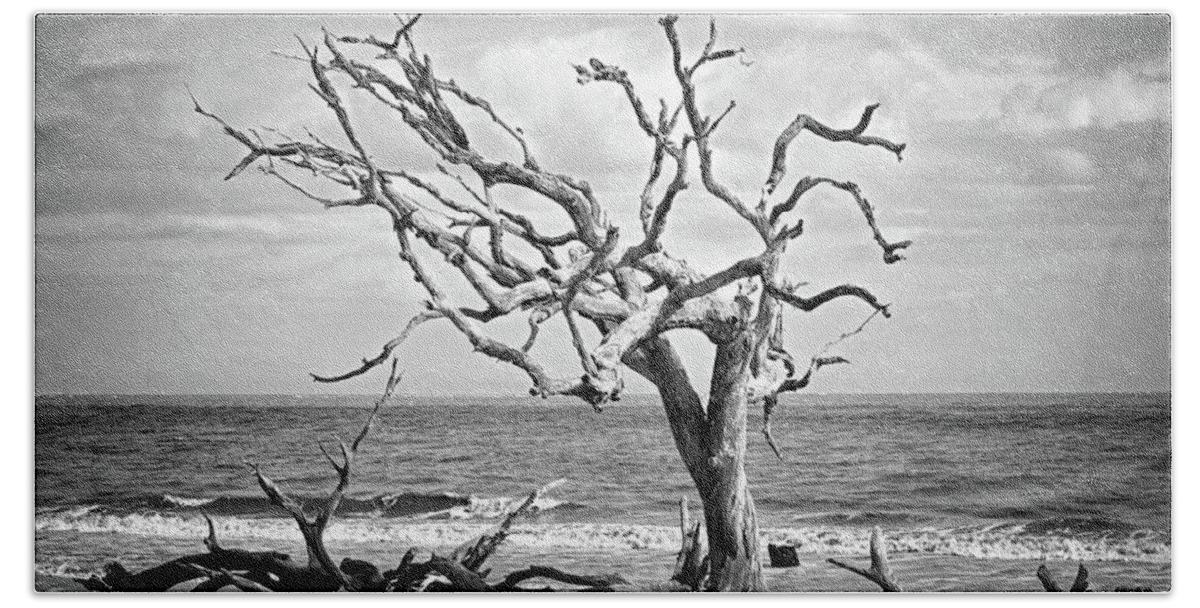 Driftwood Beach Beach Towel featuring the photograph Lone Tree on Jekyll Island's Driftwood Beach 113 by Bill Swartwout