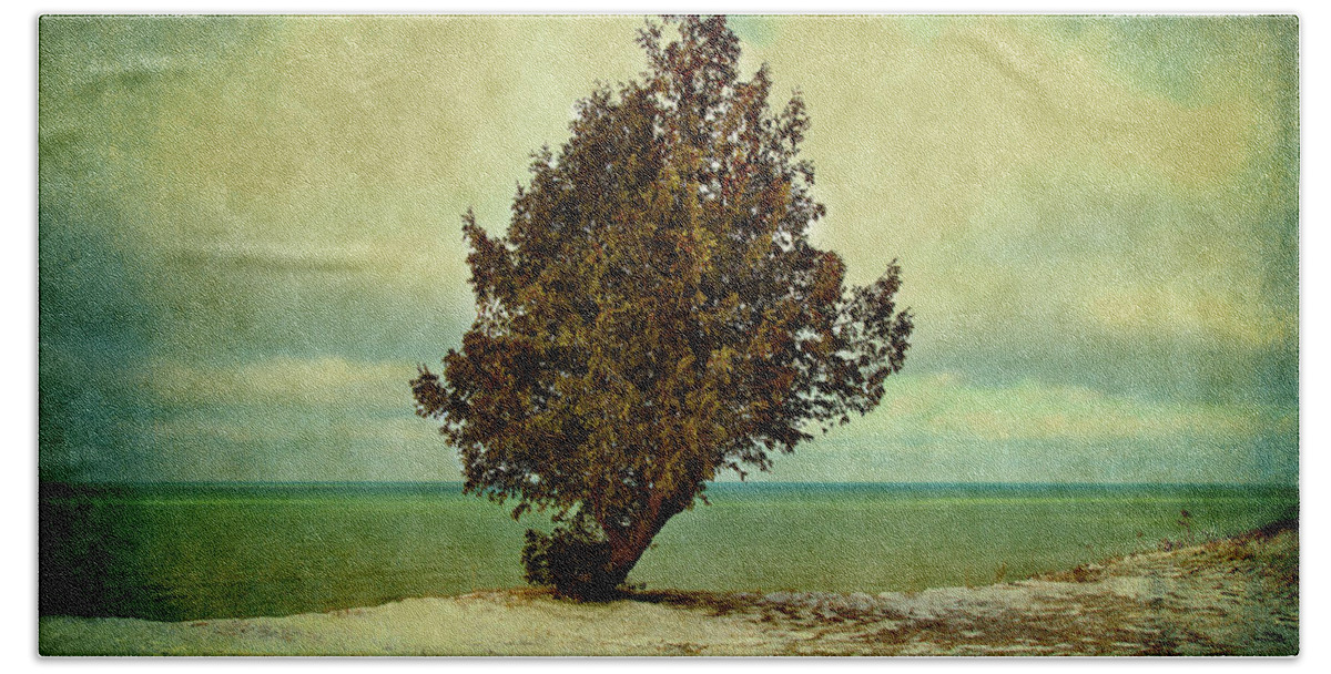 Michigan State Beach Towel featuring the photograph Lone Tree on the Beach by Milena Ilieva