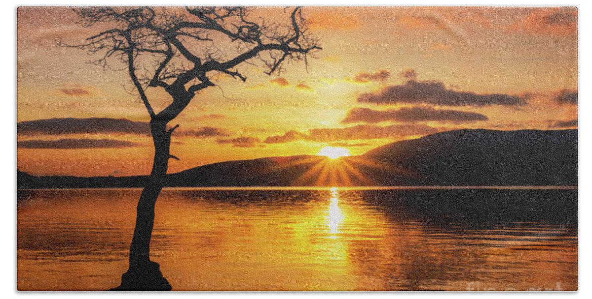 Loch Lomond Beach Towel featuring the photograph Lone tree sunset starburst at Milarrochy Bay, Loch Lomond, Scotland by Neale And Judith Clark