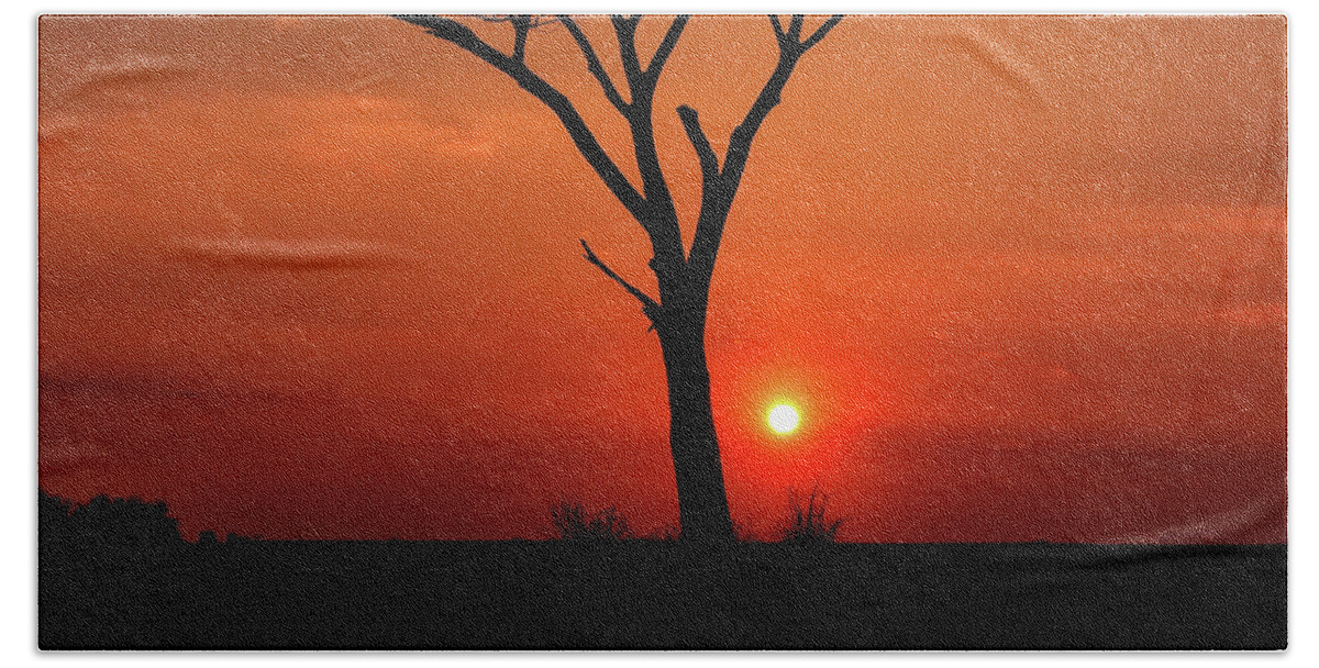 Lonely Sunset Beach Towel featuring the photograph Lonely Sunset by Scott Olsen