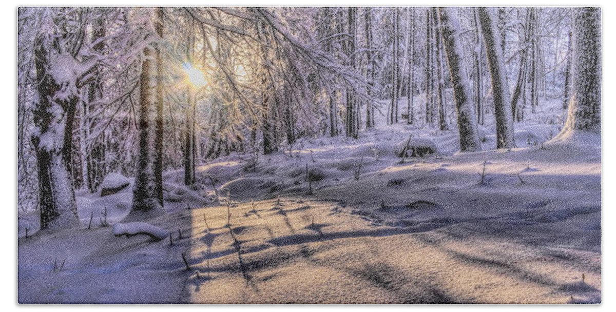 Winter Beach Towel featuring the photograph Long Shadows In The Snow by Dale Kauzlaric