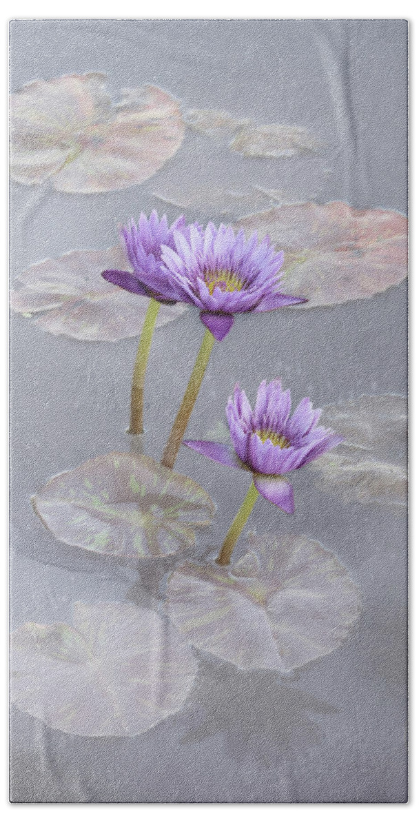 Flower Beach Towel featuring the photograph Lotus Blossoms by Karen Lynch