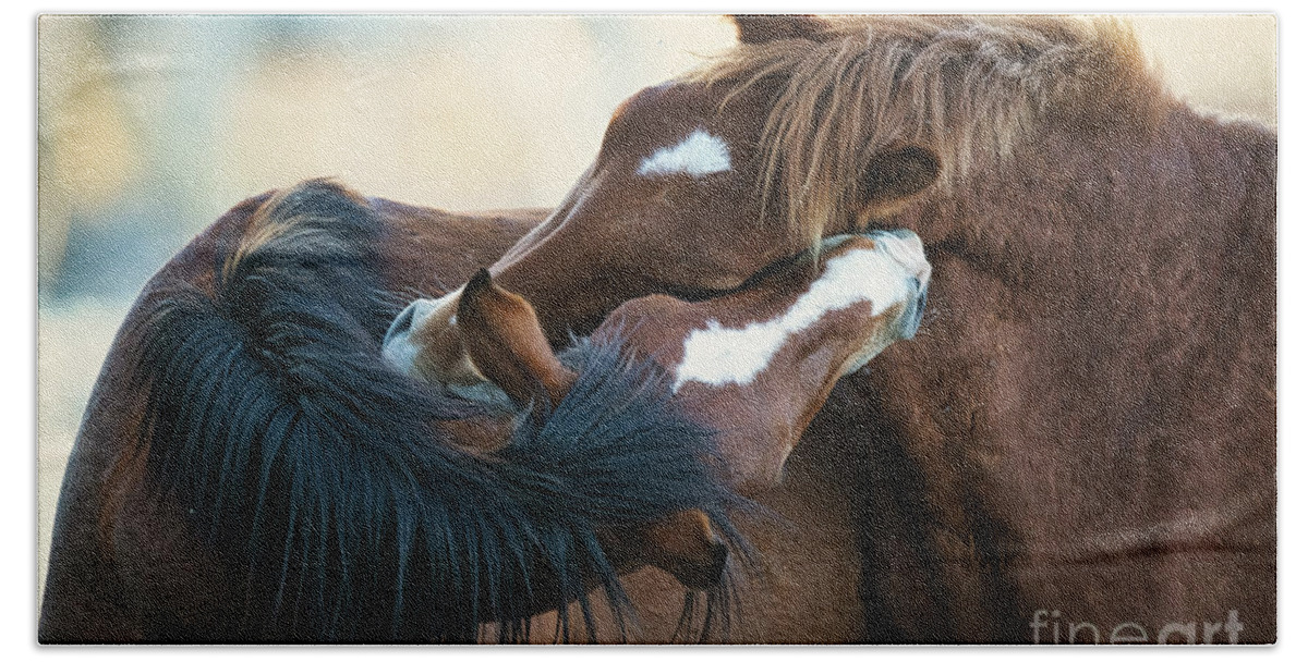 Salt River Wild Horses Beach Towel featuring the photograph Love by Shannon Hastings