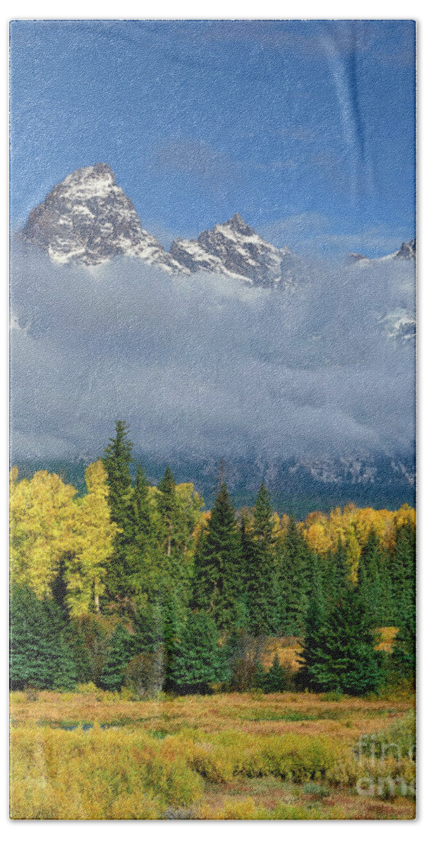 Dave Welling Beach Towel featuring the photograph Low Clouds Fall Color Aspens Blacktail Ponds Grand Tetons National Park Wyoming by Dave Welling