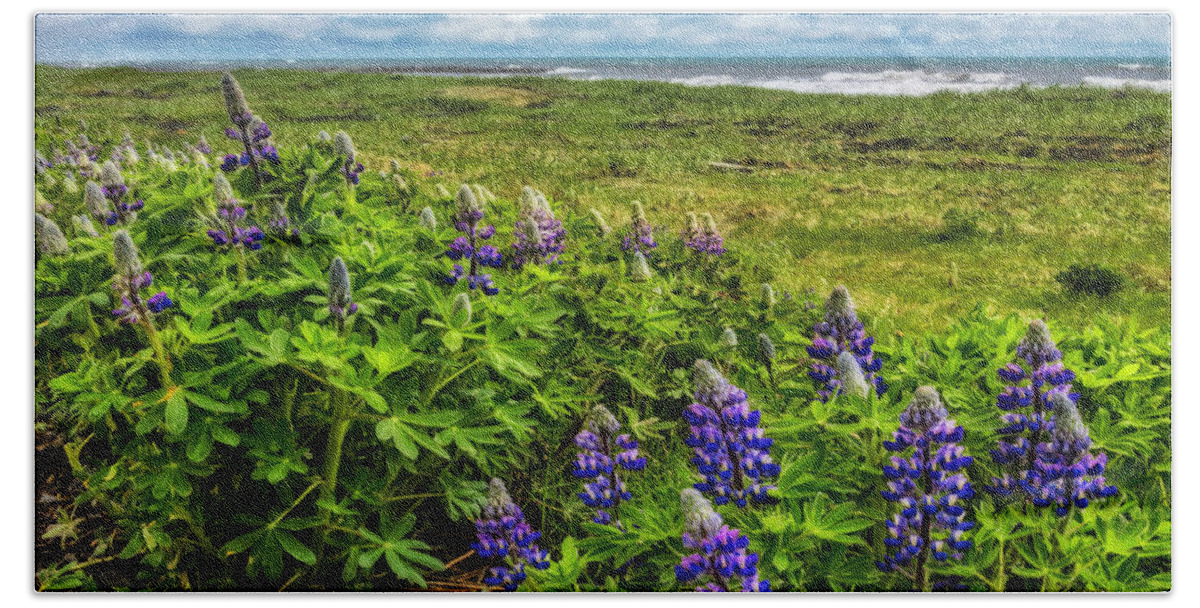 Clouds Beach Towel featuring the photograph Lupines at the Edge of the Sea in Square by Debra and Dave Vanderlaan