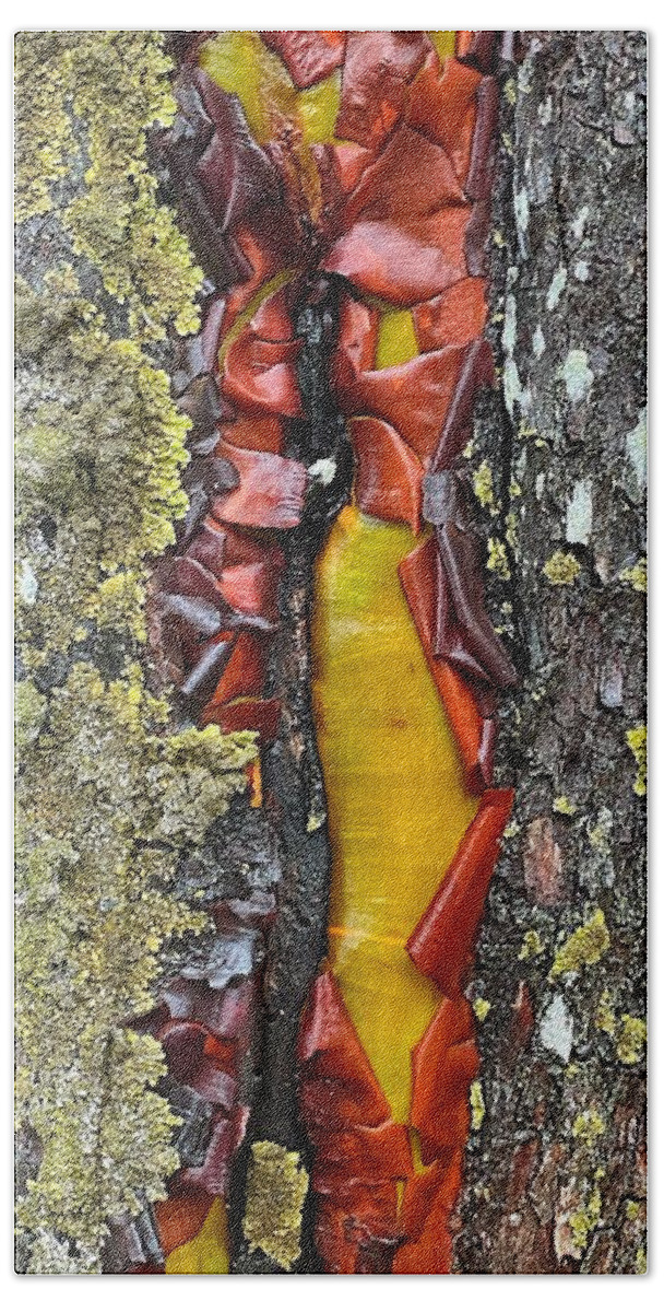 Abstract Beach Towel featuring the photograph Madrone Tree Bark Abstract by Jerry Abbott