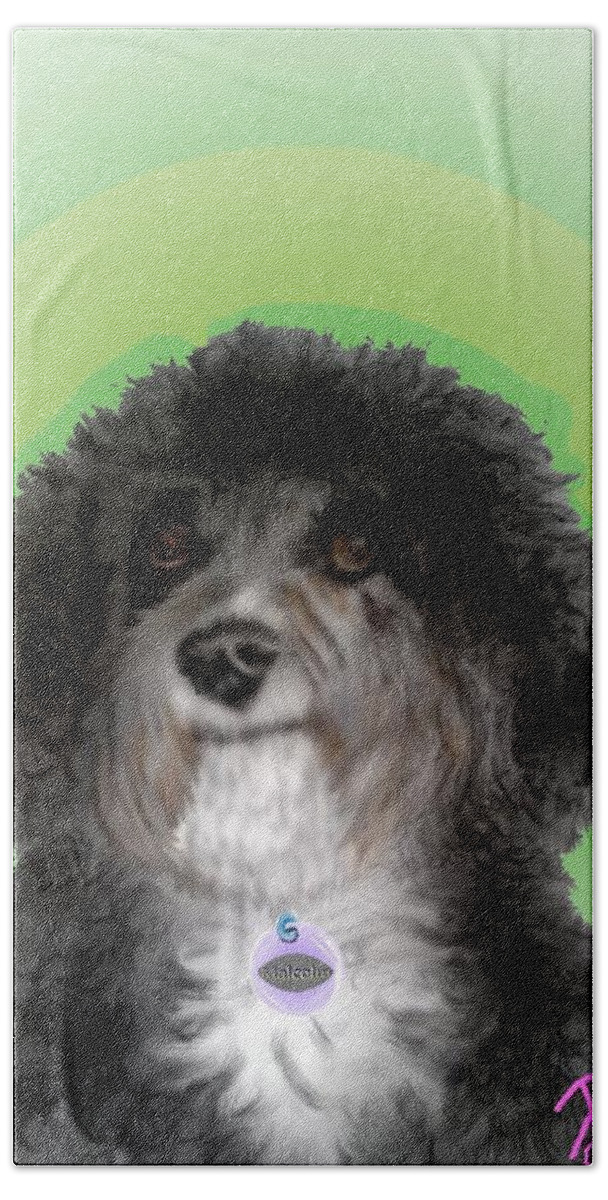Malcolm Cockapoo Cute Picture Dog Curly Dog Black Dog Pencil Sketch Mixed Media Digitally Enhanced. Beach Towel featuring the mixed media Malcolm poses by Pamela Calhoun