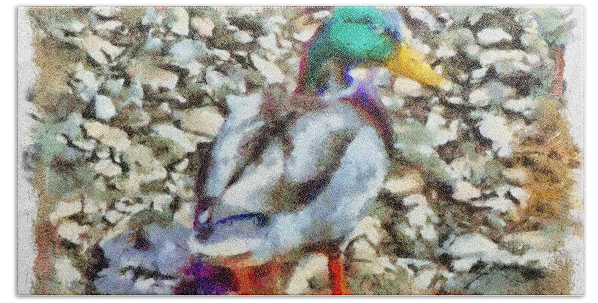 Mallard Beach Towel featuring the mixed media Male Mallard Duck by Christopher Reed