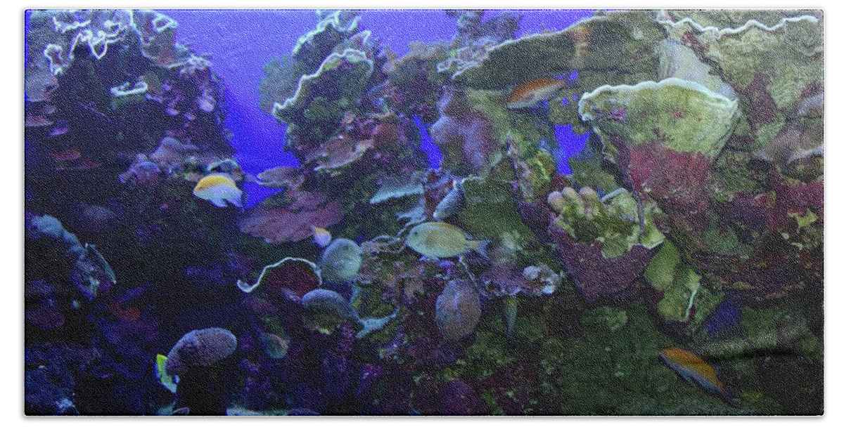 Fish Beach Towel featuring the photograph Maui Aquarium II #2 by Bnte Creations