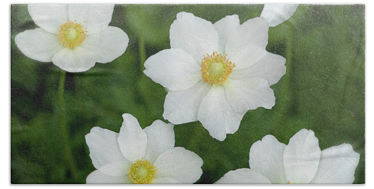 Blossom Beach Towel featuring the photograph Meadow Anemone Cluster by Teresa Wilson
