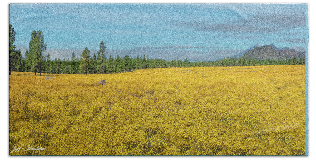 Arizona Beach Towel featuring the photograph Meadow of Yellow Wildflowers by Jeff Goulden