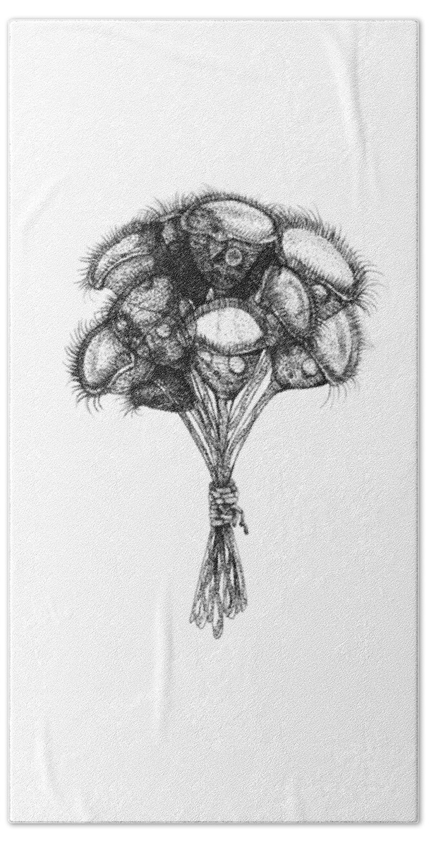 Protozoa Beach Towel featuring the drawing Microscopic Bouquet by Kate Solbakk