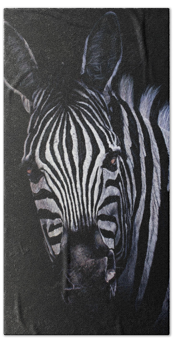African Wildlife Beach Towel featuring the painting Mischievious by Ronnie Moyo