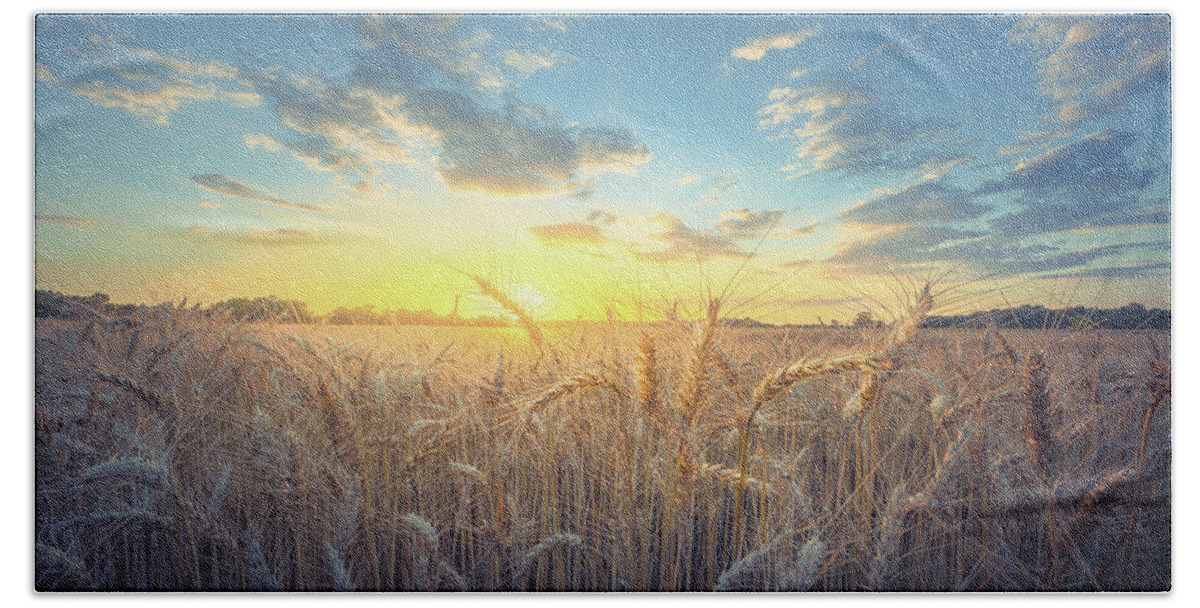 Sunset Beach Towel featuring the photograph Rural Mississippi Country Wheat Field by Jordan Hill