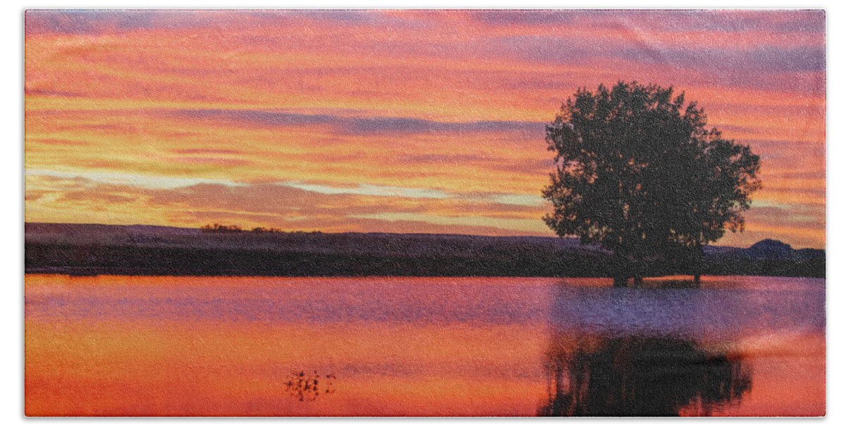 Colorful Beach Towel featuring the photograph Montana Sunset by Todd Klassy