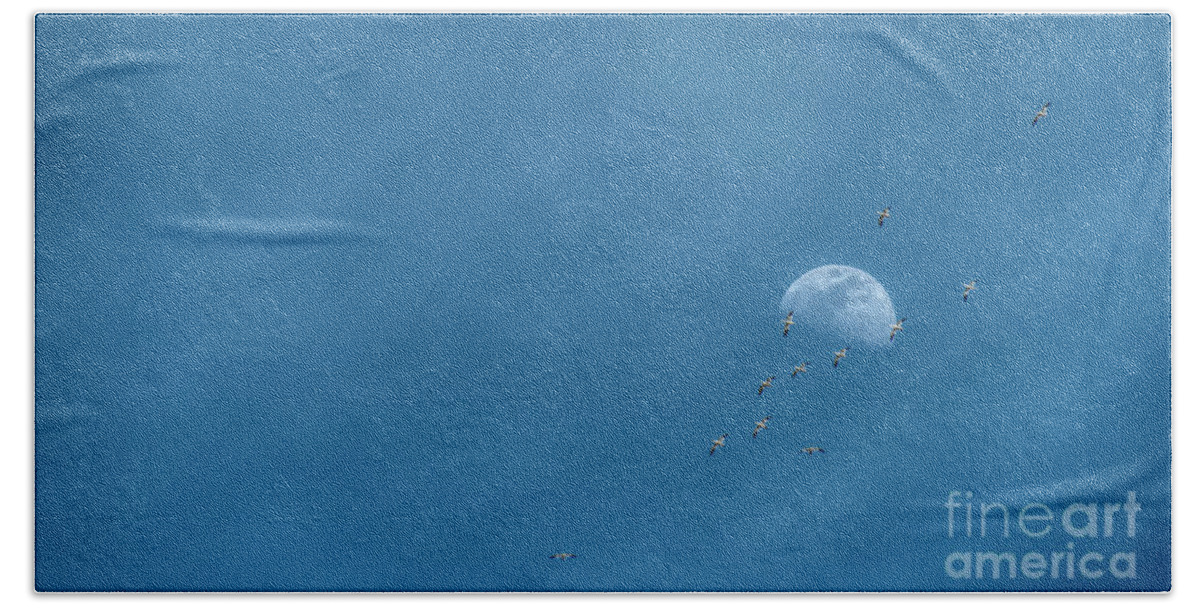Moon Beach Towel featuring the photograph Moon and Snow Geese by Pamela Dunn-Parrish
