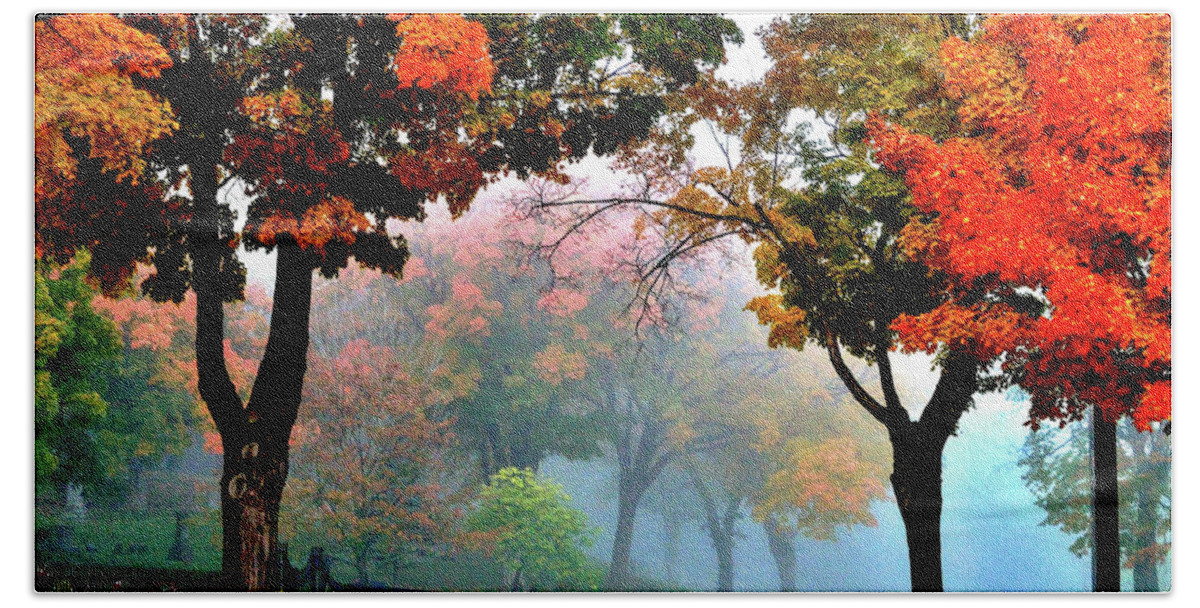 Fall In Winona Beach Towel featuring the photograph Morning Fog 2 by Susie Loechler