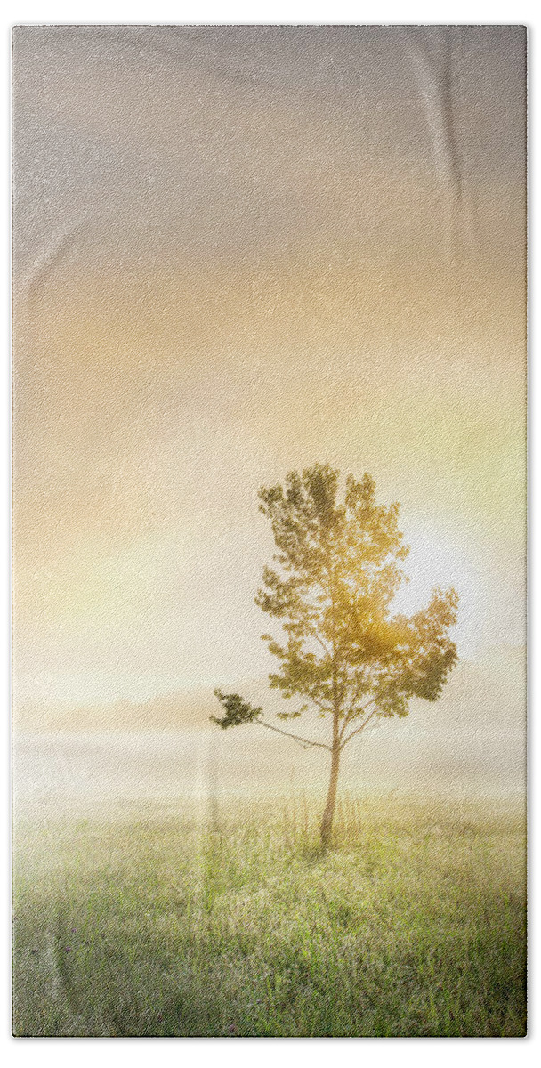 Tree Beach Towel featuring the photograph Sunrise Tree In Mississippi Morning Fog by Jordan Hill