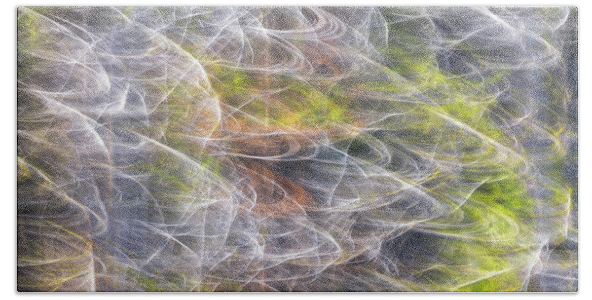 Abstract Beach Towel featuring the photograph Motion in the Trees by Darren White