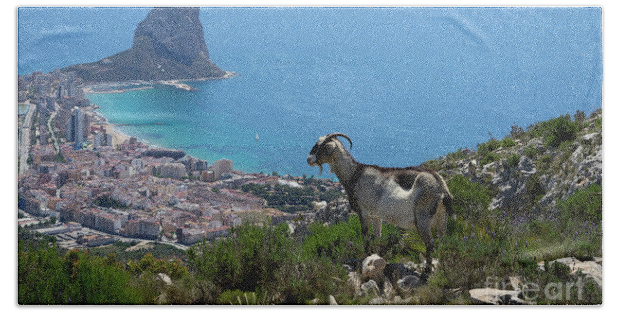 Mountains Beach Towel featuring the photograph Mountain goat looks at Calpe and the Mediterranean Sea by Adriana Mueller