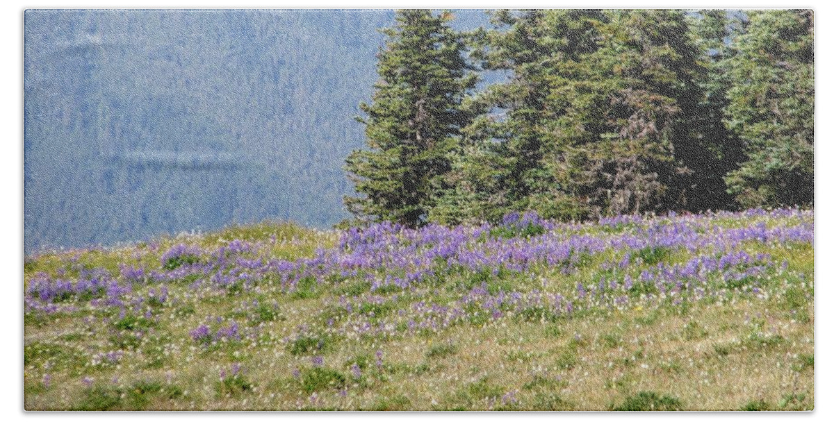 Olympic Mountains Beach Towel featuring the photograph Mountainside Meadow by Amanda R Wright