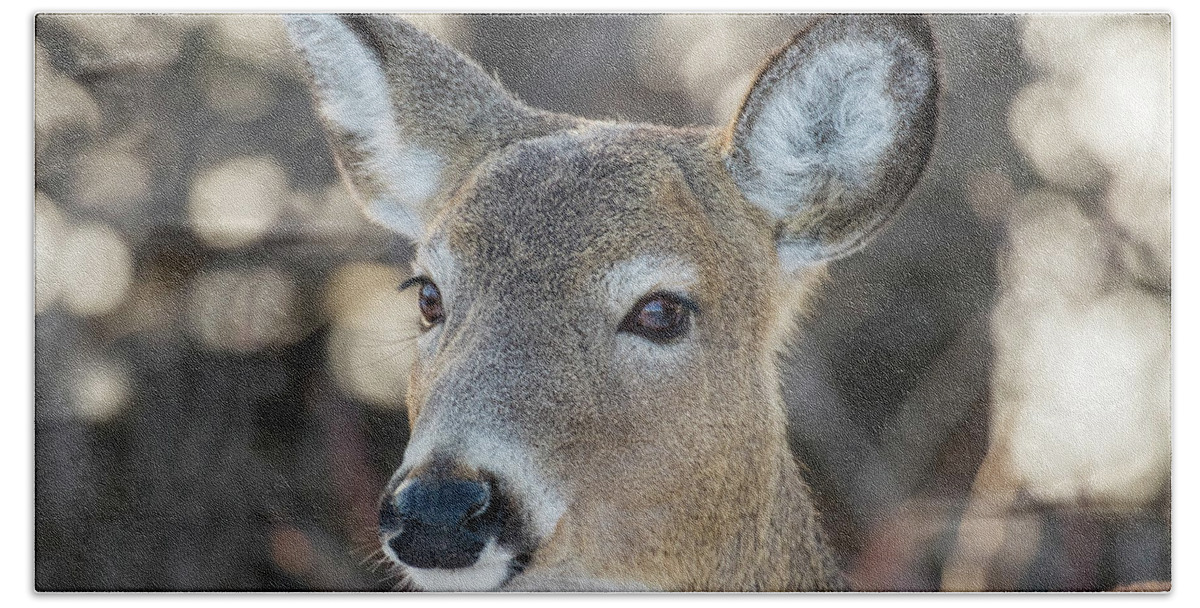 Antlers Beach Sheet featuring the photograph Mrs Deer portrait by Mircea Costina Photography