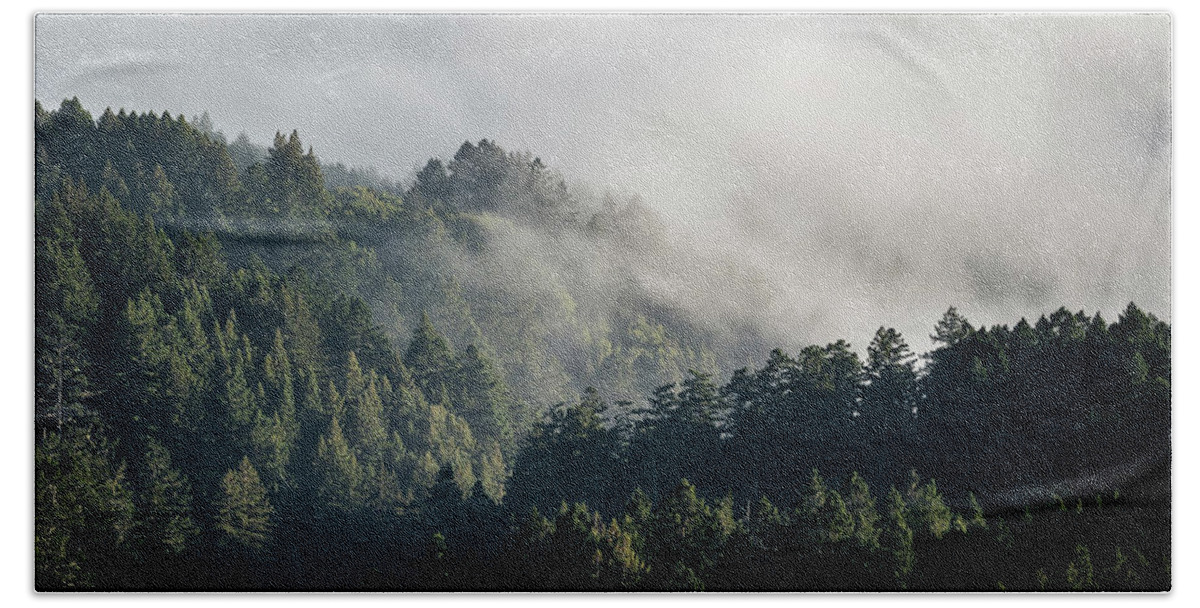 California Beach Towel featuring the photograph Mt. Tamalpais Fog and Trees by Gary Geddes