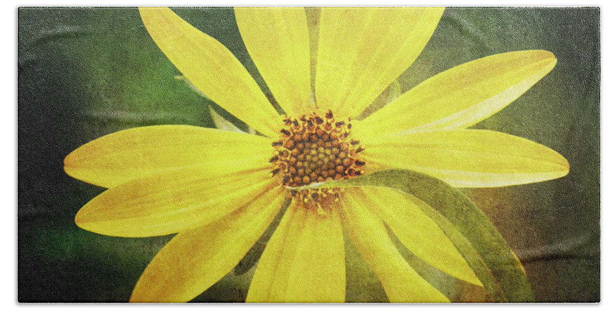Sunflower Beach Towel featuring the photograph Mum's the Word - Lemon Queen Sunflower Grunge Style by Anita Pollak