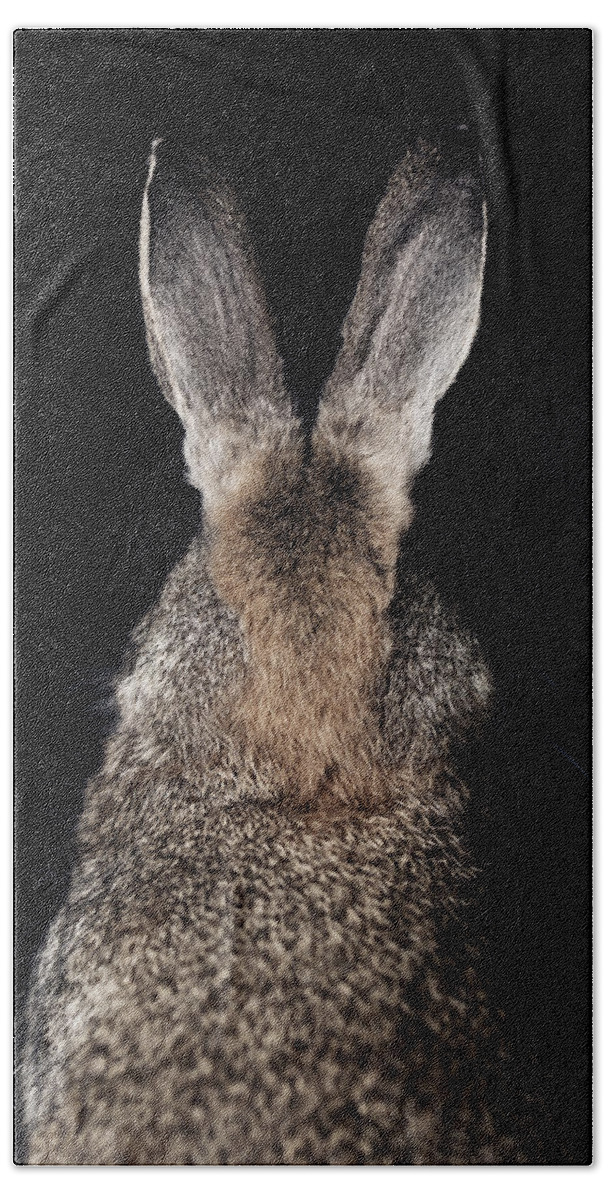 Animal Beach Towel featuring the photograph My Best Side by Amy Weiss