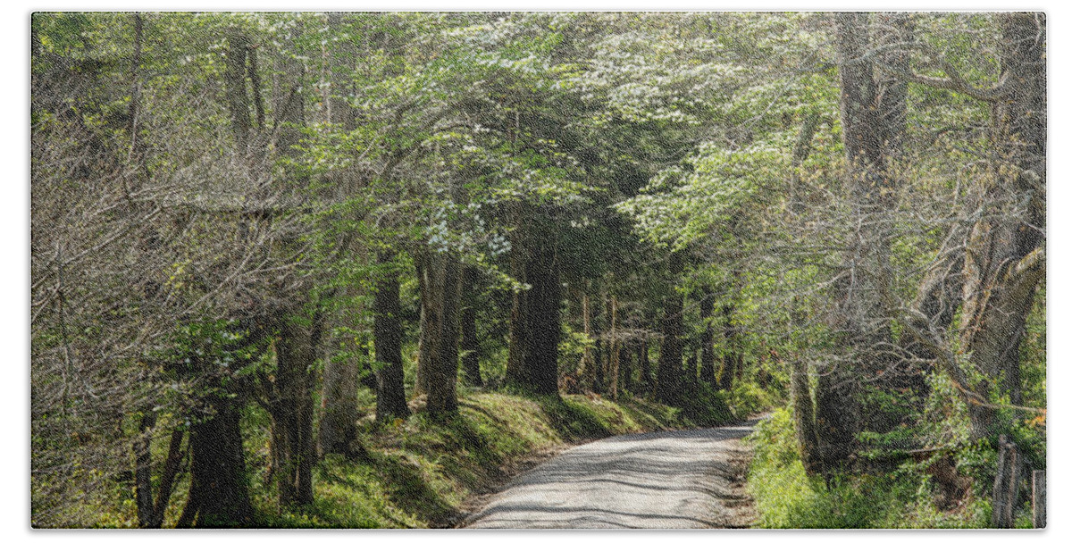 Landscapes Beach Towel featuring the photograph Narrow Country Road by Robert Carter
