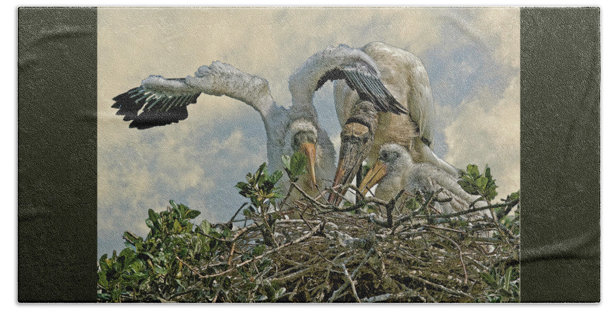 Wood Storks Beach Towel featuring the digital art Nesting Wood Storks Cps by Larry Linton