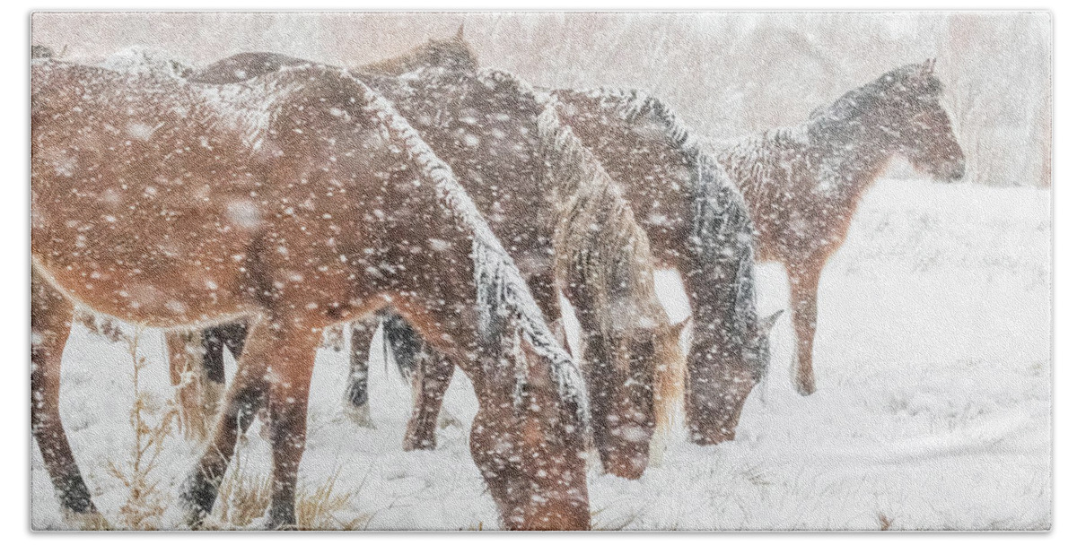 Nevada Beach Towel featuring the photograph Nevada Wild Horses in Snow by Marc Crumpler