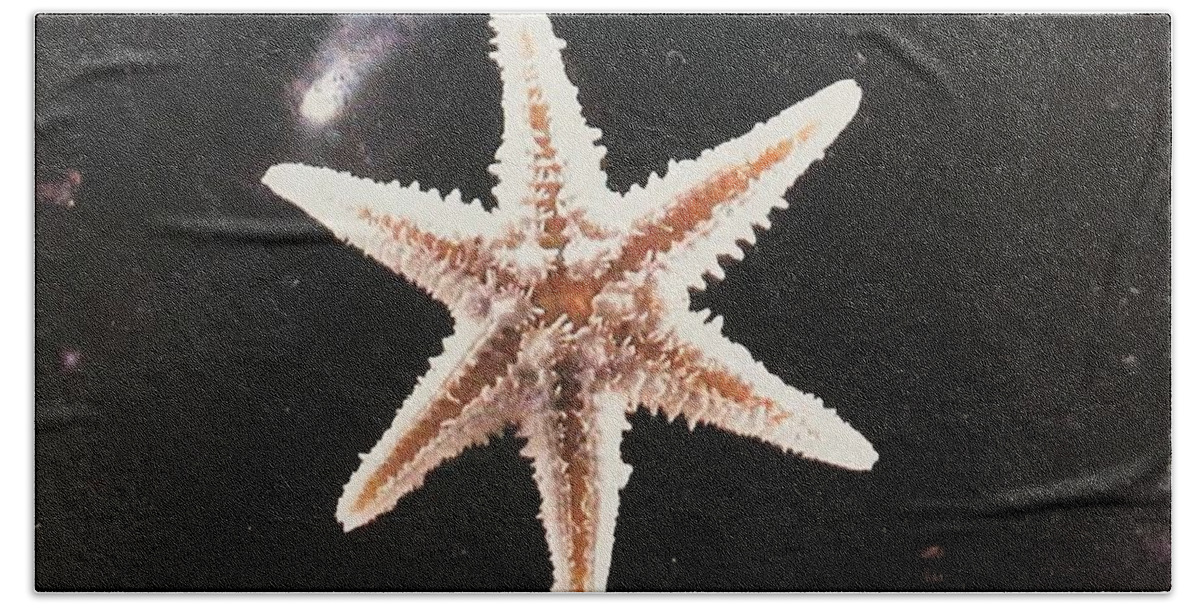 Nature Beach Towel featuring the photograph New Star by Ankya Klay