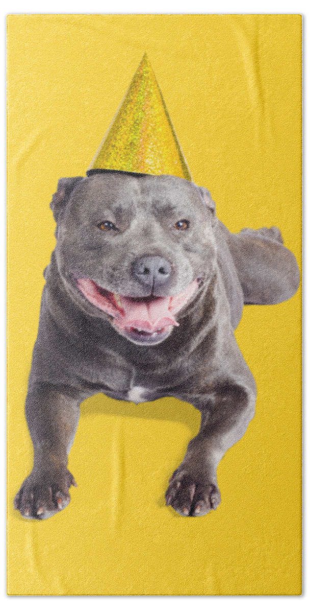 Party Beach Towel featuring the photograph New year dog with party hat by Jorgo Photography