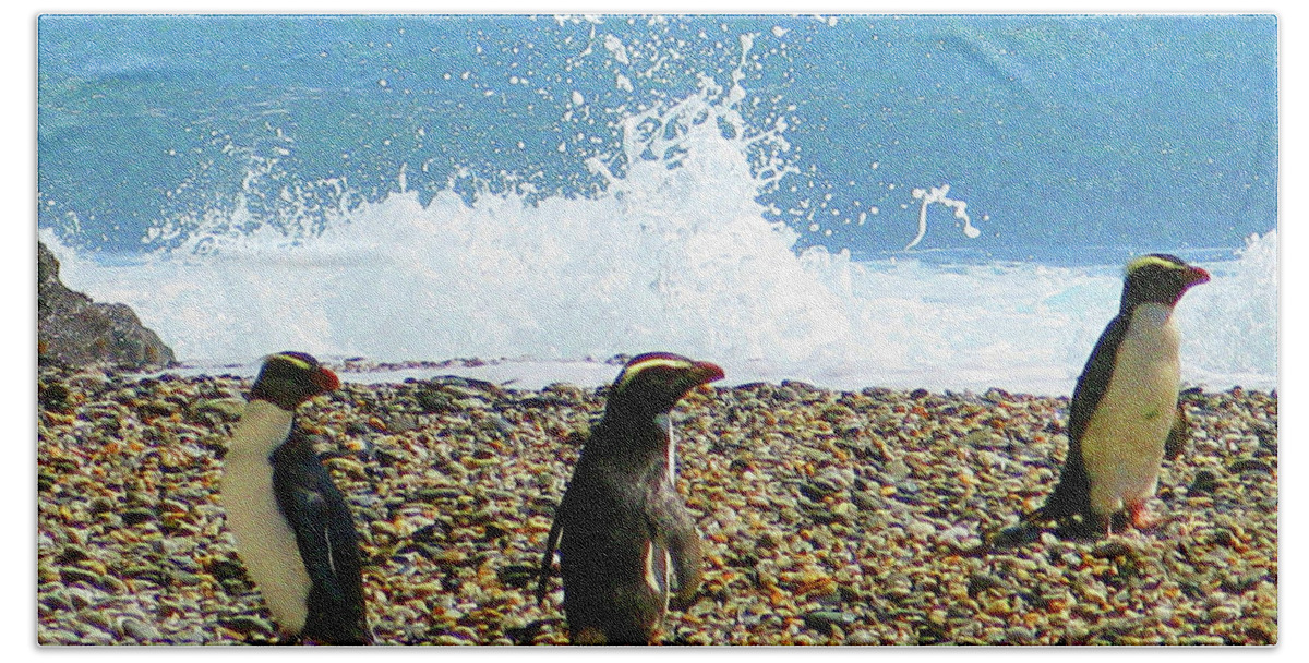 Penquins Beach Towel featuring the photograph New Zealand Penquins by Rick Wilking