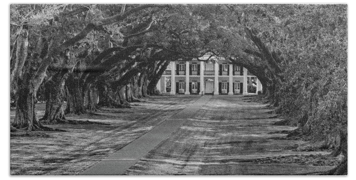 New Orleans Beach Towel featuring the photograph Oak Alley by Dan McGeorge